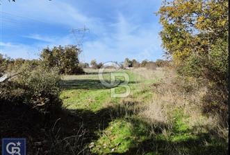 Lapseki"1915 boğaz köprüsüne 20dk Balcılar köyü'nde"4636m²arazi" - 10 - 323197