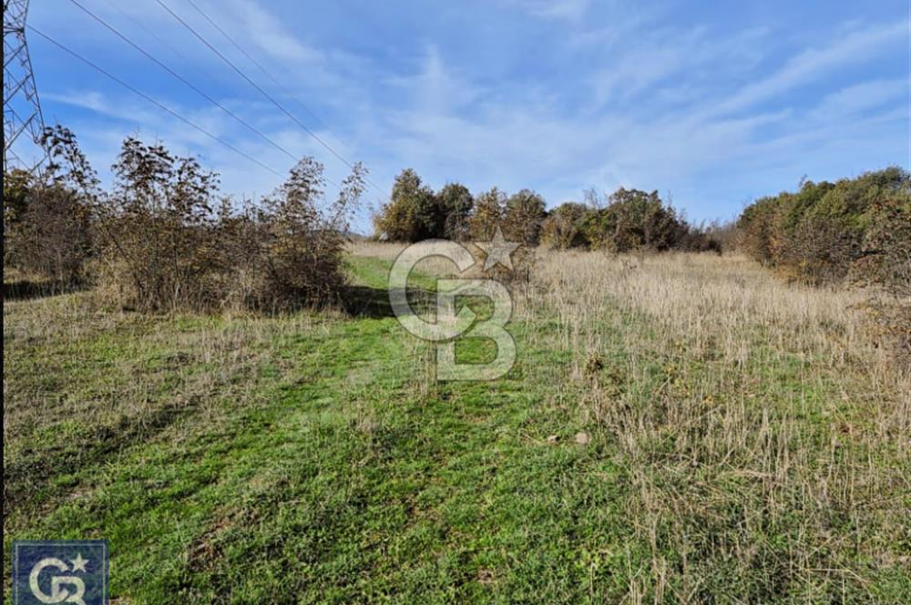 Lapseki"1915 boğaz köprüsüne 20dk Balcılar köyü'nde"4636m²arazi"