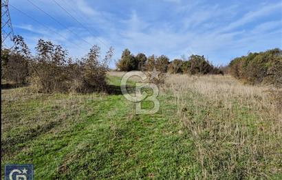 Lapseki"1915 boğaz köprüsüne 20dk Balcılar köyü'nde"4636m²arazi"