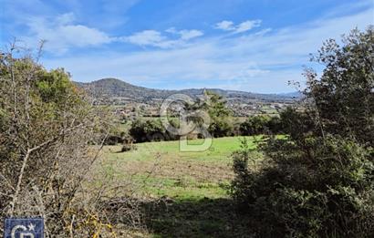 Lapseki"1915 boğaz köprüsüne 20dk Balcılar köyü'nde"4636m²arazi"