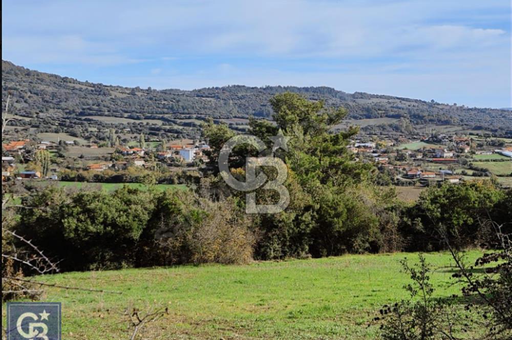 Lapseki"1915 boğaz köprüsüne 20dk Balcılar köyü'nde"4636m²arazi"