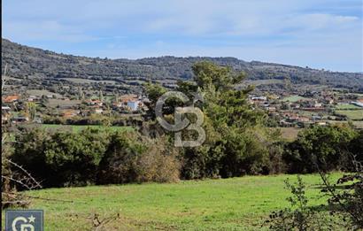 Lapseki"1915 boğaz köprüsüne 20dk Balcılar köyü'nde"4636m²arazi"