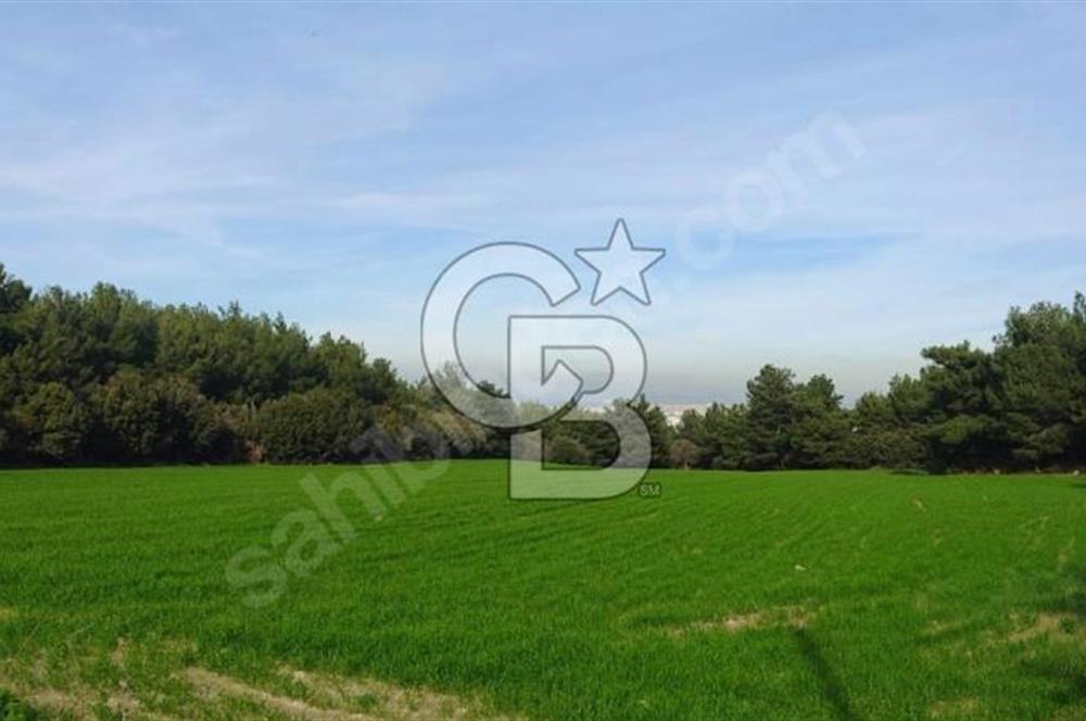 ÇINARLIDA ASFALTA CEPHELİ DENİZ MANZARALI ARAZİ