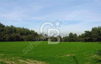 ÇINARLIDA ASFALTA CEPHELİ DENİZ MANZARALI ARAZİ