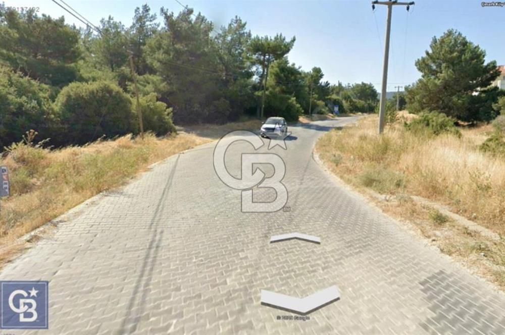 ÇINARLIDA ASFALTA CEPHELİ DENİZ MANZARALI ARAZİ