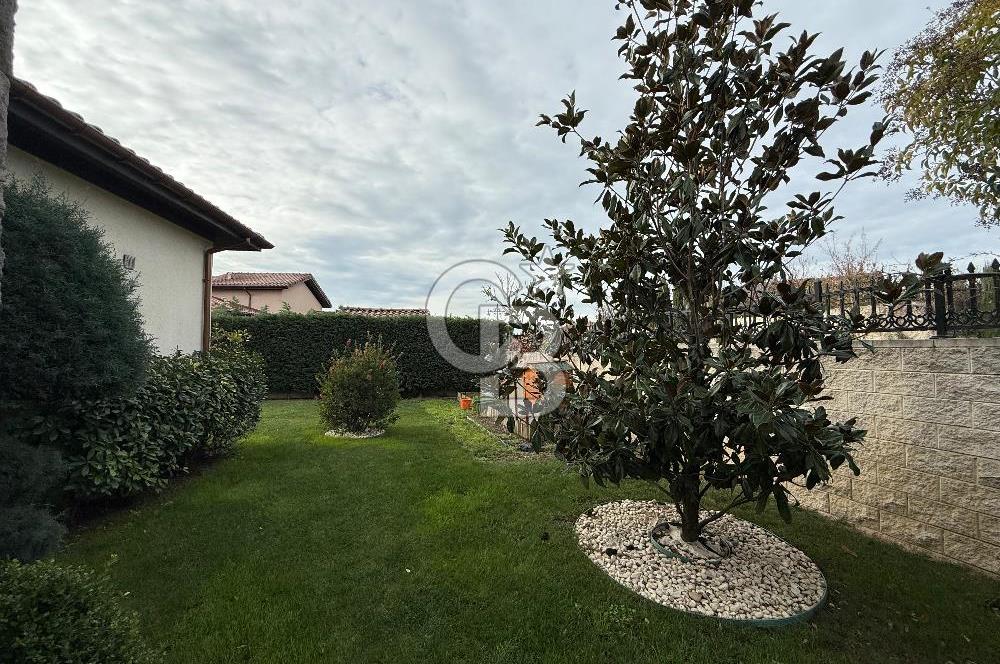 Toskana Vadisi Kiralık 4+1 Villa