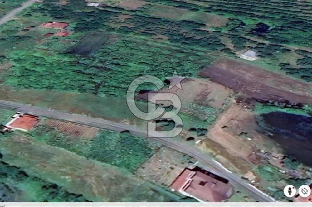 Samsun Termede Ticari/Konut İmarlı 14.000m2 Müstakil Tapulu Arsa