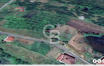 Samsun Termede Ticari/Konut İmarlı 14.000m2 Müstakil Tapulu Arsa