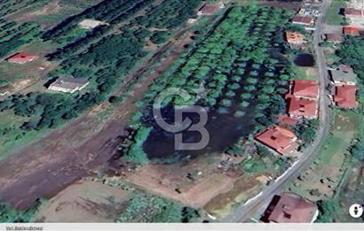 Samsun Termede Ticari/Konut İmarlı 14.000m2 Müstakil Tapulu Arsa