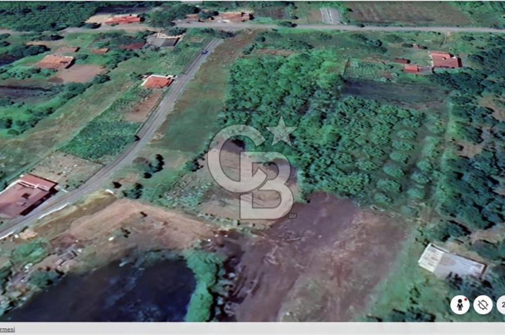 Samsun Termede Ticari/Konut İmarlı 14.000m2 Müstakil Tapulu Arsa