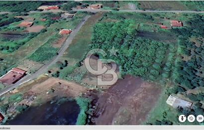 Samsun Termede Ticari/Konut İmarlı 14.000m2 Müstakil Tapulu Arsa