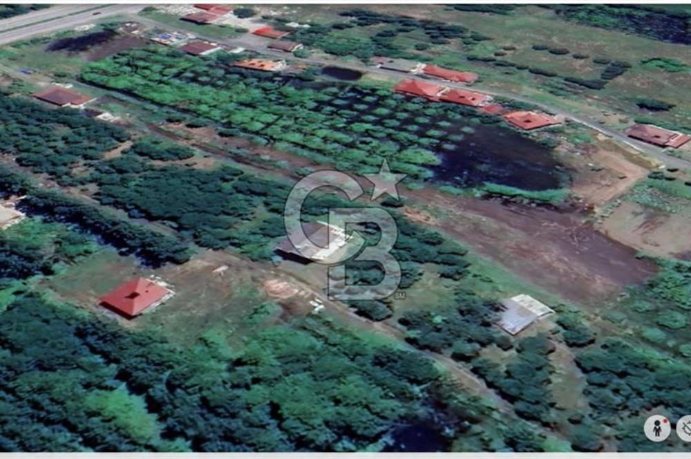 Samsun Termede Ticari/Konut İmarlı 14.000m2 Müstakil Tapulu Arsa