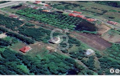 Samsun Termede Ticari/Konut İmarlı 14.000m2 Müstakil Tapulu Arsa