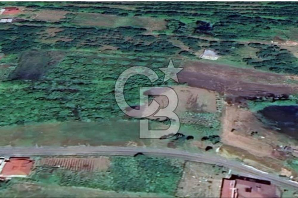 Samsun Termede Ticari/Konut İmarlı 14.000m2 Müstakil Tapulu Arsa
