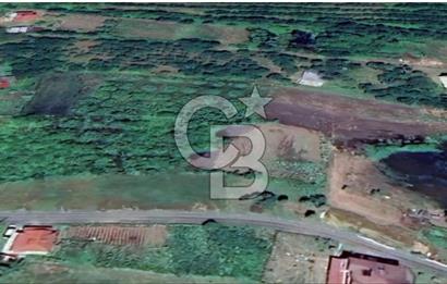 Samsun Termede Ticari/Konut İmarlı 14.000m2 Müstakil Tapulu Arsa