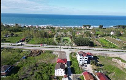 Samsun Termede Ticari/Konut İmarlı 14.000m2 Müstakil Tapulu Arsa