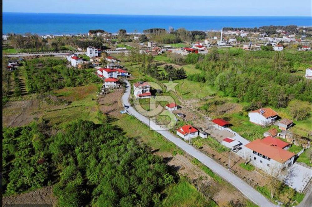 Samsun Termede Ticari/Konut İmarlı 14.000m2 Müstakil Tapulu Arsa