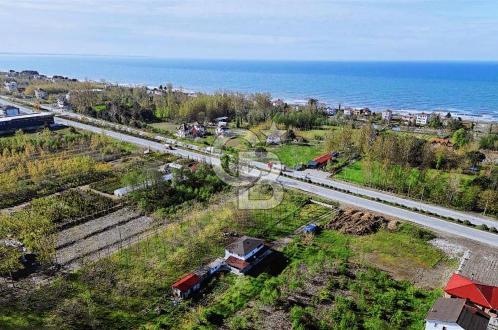 Samsun Termede Ticari/Konut İmarlı 14.000m2 Müstakil Tapulu Arsa