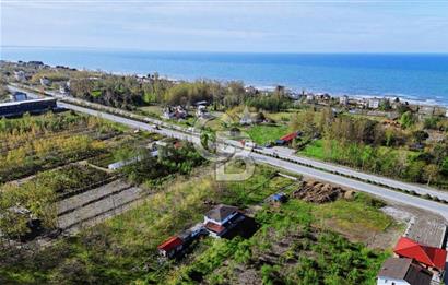 Samsun Termede Ticari/Konut İmarlı 14.000m2 Müstakil Tapulu Arsa