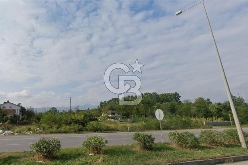 Samsun Termede Ticari/Konut İmarlı 14.000m2 Müstakil Tapulu Arsa