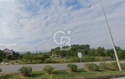 Samsun Termede Ticari/Konut İmarlı 14.000m2 Müstakil Tapulu Arsa