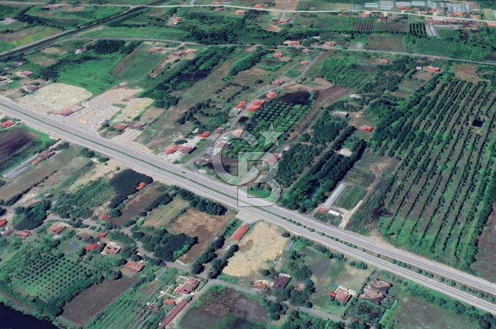 Samsun Termede Ticari/Konut İmarlı 14.000m2 Müstakil Tapulu Arsa
