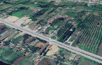 Samsun Termede Ticari/Konut İmarlı 14.000m2 Müstakil Tapulu Arsa