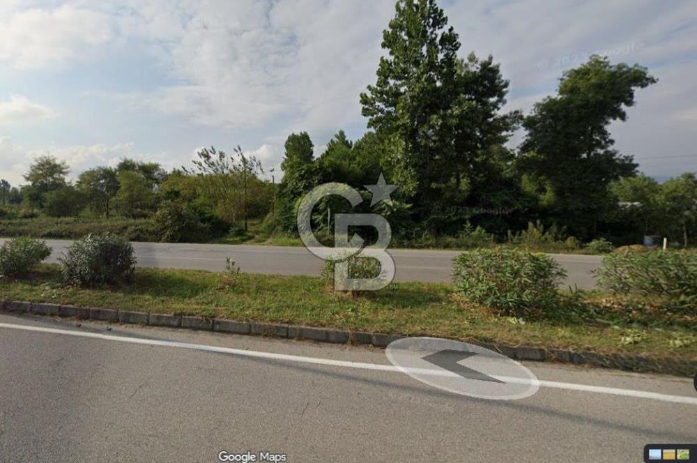 Samsun Termede Ticari/Konut İmarlı 14.000m2 Müstakil Tapulu Arsa