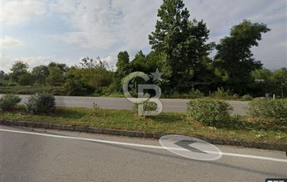 Samsun Termede Ticari/Konut İmarlı 14.000m2 Müstakil Tapulu Arsa