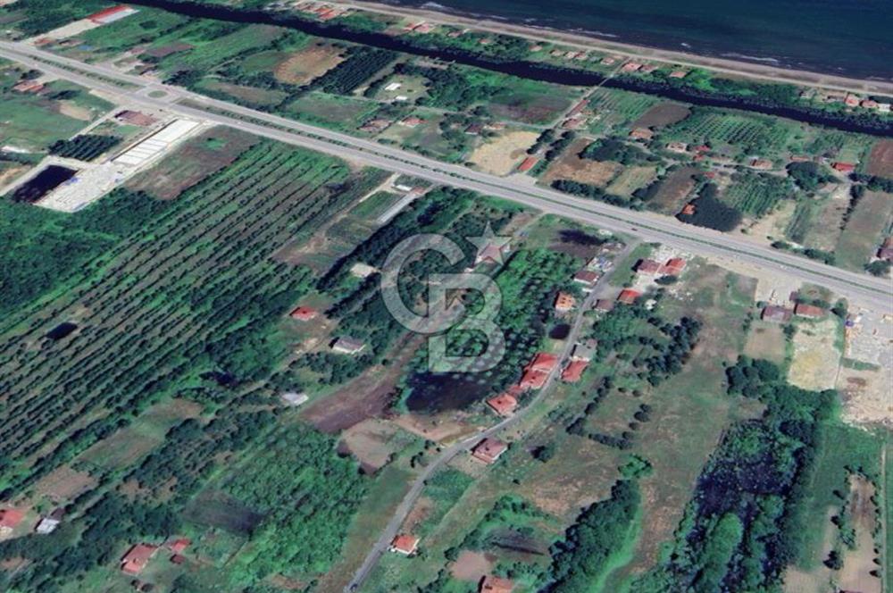 Samsun Termede Ticari/Konut İmarlı 14.000m2 Müstakil Tapulu Arsa