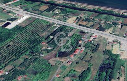 Samsun Termede Ticari/Konut İmarlı 14.000m2 Müstakil Tapulu Arsa