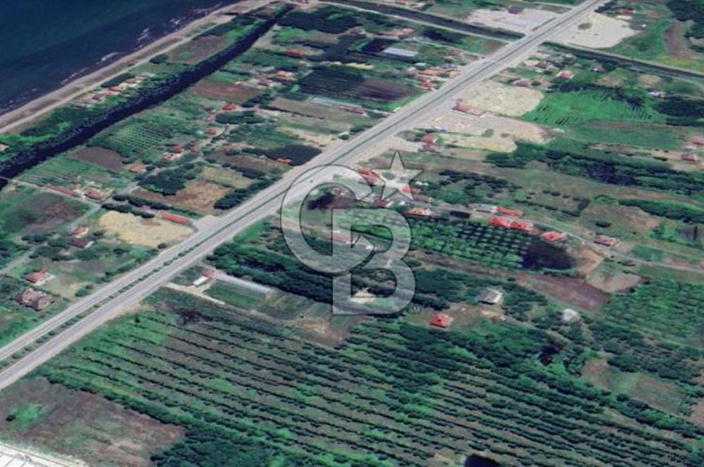Samsun Termede Ticari/Konut İmarlı 14.000m2 Müstakil Tapulu Arsa