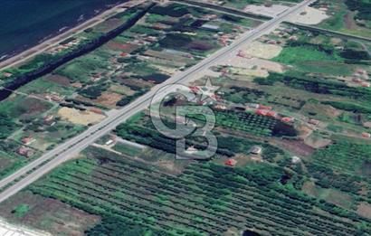 Samsun Termede Ticari/Konut İmarlı 14.000m2 Müstakil Tapulu Arsa