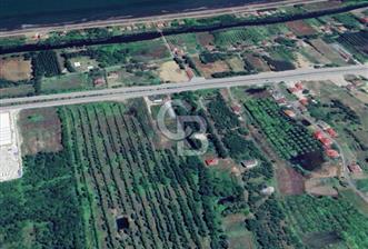 Samsun Termede Ticari/Konut İmarlı 14.000m2 Müstakil Tapulu Arsa - 8 - 323205
