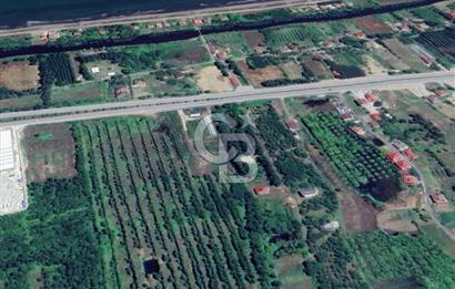 Samsun Termede Ticari/Konut İmarlı 14.000m2 Müstakil Tapulu Arsa