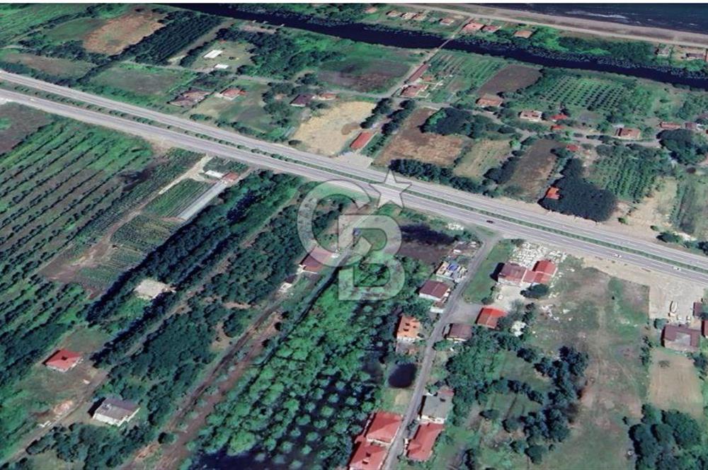 Samsun Termede Ticari/Konut İmarlı 14.000m2 Müstakil Tapulu Arsa