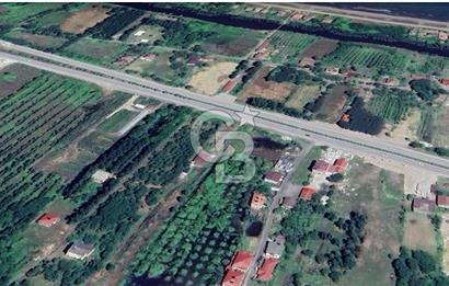 Samsun Termede Ticari/Konut İmarlı 14.000m2 Müstakil Tapulu Arsa
