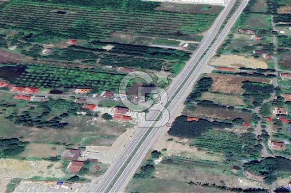 Samsun Termede Ticari/Konut İmarlı 14.000m2 Müstakil Tapulu Arsa