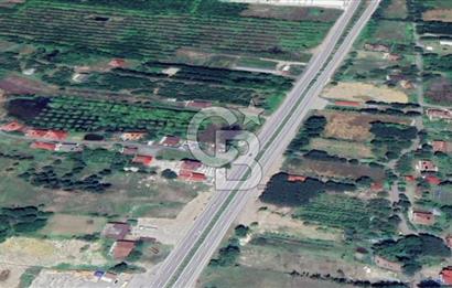 Samsun Termede Ticari/Konut İmarlı 14.000m2 Müstakil Tapulu Arsa