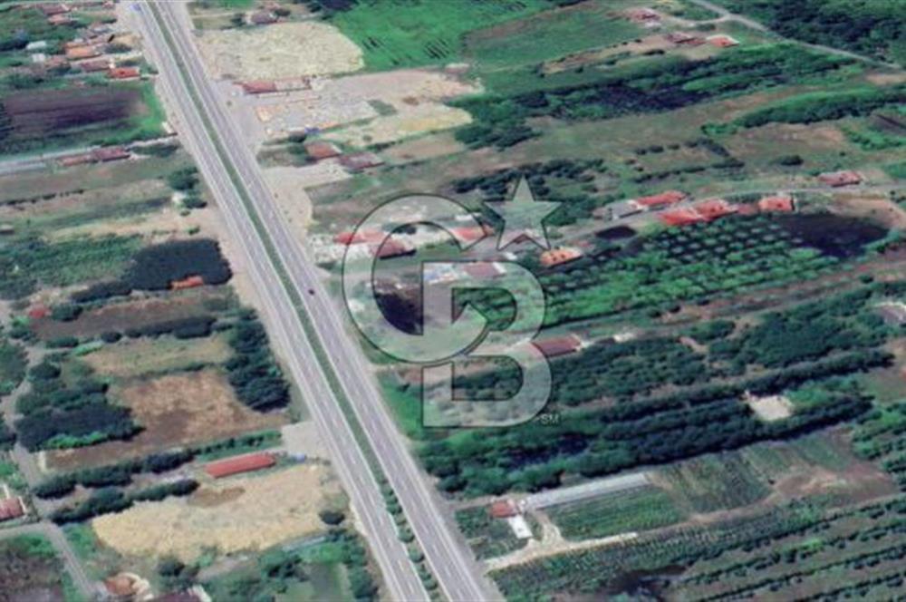Samsun Termede Ticari/Konut İmarlı 14.000m2 Müstakil Tapulu Arsa