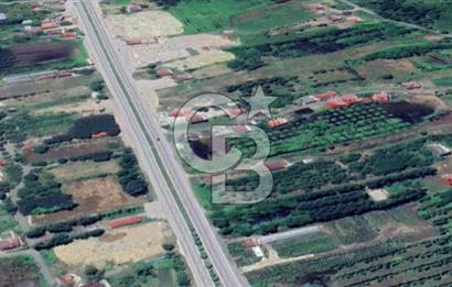 Samsun Termede Ticari/Konut İmarlı 14.000m2 Müstakil Tapulu Arsa