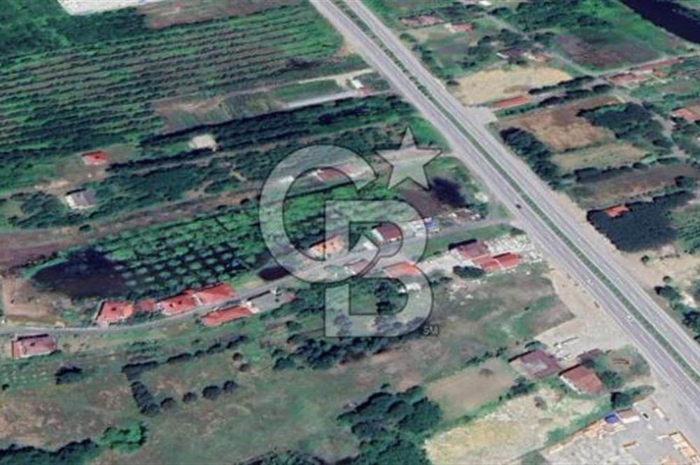 Samsun Termede Ticari/Konut İmarlı 14.000m2 Müstakil Tapulu Arsa