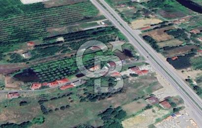 Samsun Termede Ticari/Konut İmarlı 14.000m2 Müstakil Tapulu Arsa