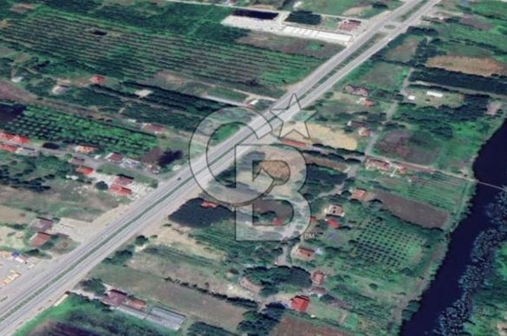 Samsun Termede Ticari/Konut İmarlı 14.000m2 Müstakil Tapulu Arsa