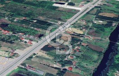 Samsun Termede Ticari/Konut İmarlı 14.000m2 Müstakil Tapulu Arsa