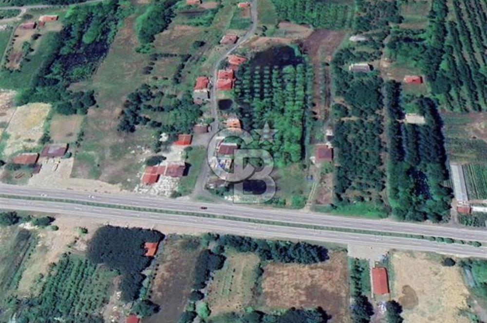 Samsun Termede Ticari/Konut İmarlı 14.000m2 Müstakil Tapulu Arsa