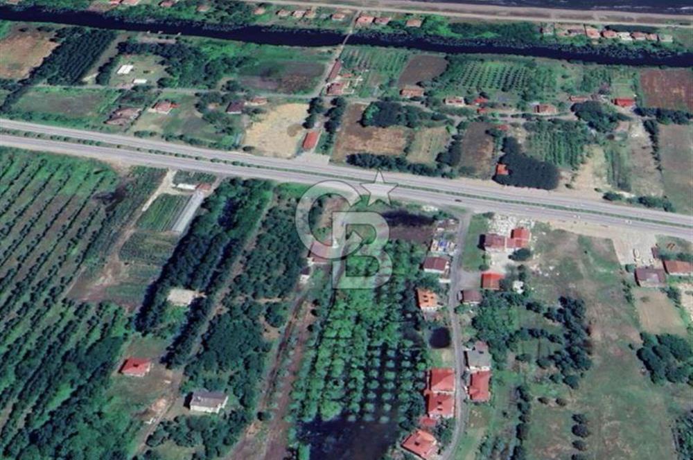 Samsun Termede Ticari/Konut İmarlı 14.000m2 Müstakil Tapulu Arsa