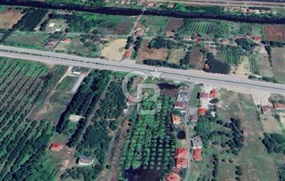 Samsun Termede Ticari/Konut İmarlı 14.000m2 Müstakil Tapulu Arsa