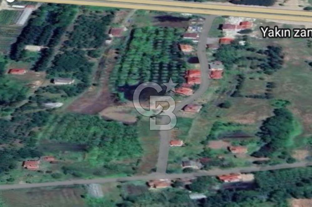 Samsun Termede Ticari/Konut İmarlı 14.000m2 Müstakil Tapulu Arsa