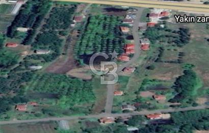 Samsun Termede Ticari/Konut İmarlı 14.000m2 Müstakil Tapulu Arsa